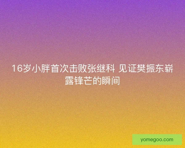 16岁小胖首次击败张继科 见证樊振东崭露锋芒的瞬间