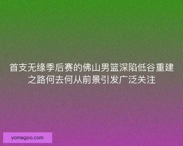首支无缘季后赛的佛山男篮深陷低谷重建之路何去何从前景引发广泛关注