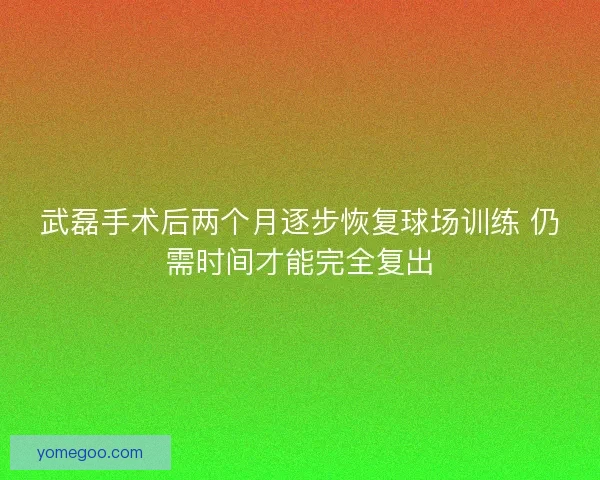 武磊手术后两个月逐步恢复球场训练 仍需时间才能完全复出
