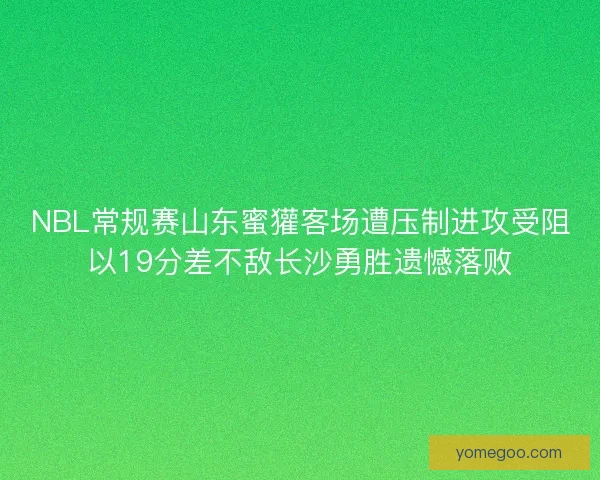 NBL常规赛山东蜜獾客场遭压制进攻受阻以19分差不敌长沙勇胜遗憾落败